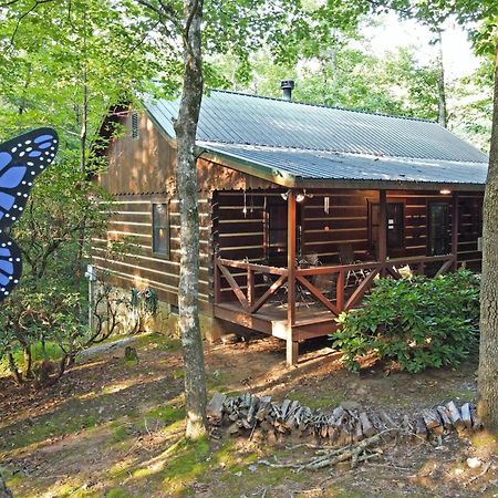 Laurel Creek- Blue Ridgeヴィラ エクステリア 写真